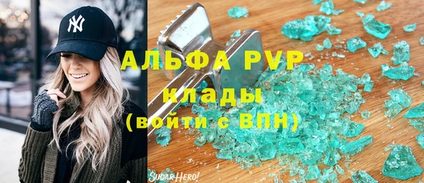 apvp Вяземский