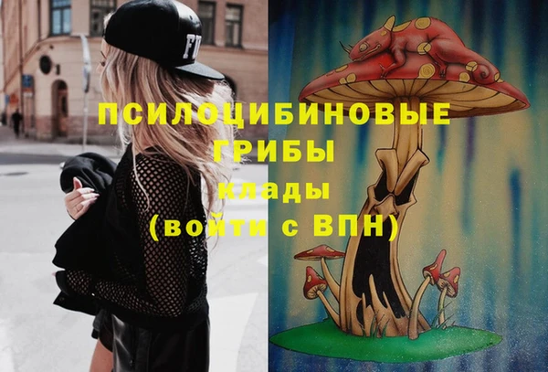 прущие грибы Вязники